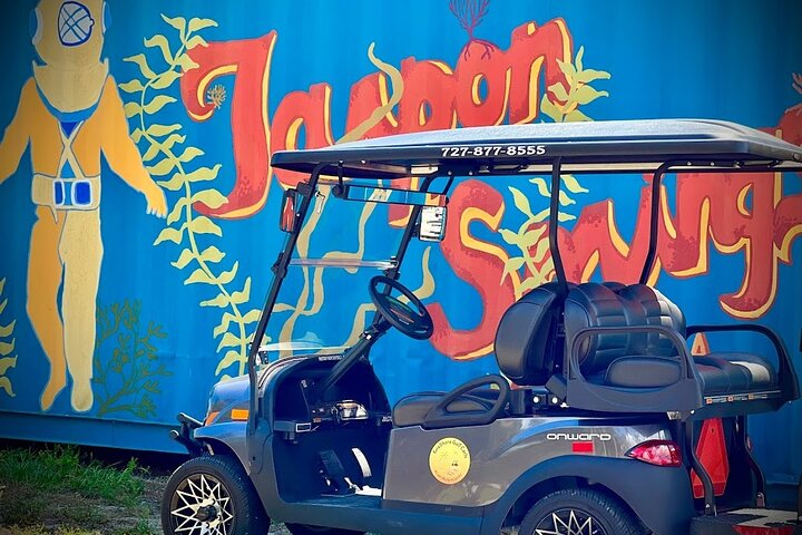 Street Legal Golf Cart 3 Hour Rental in Tarpon Springs - Photo 1 of 6